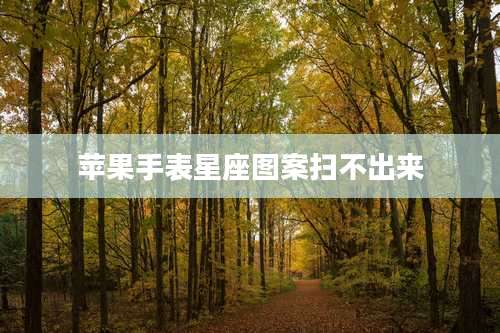 苹果手表星座图案扫不出来