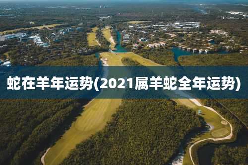 蛇在羊年运势(2021属羊蛇全年运势)