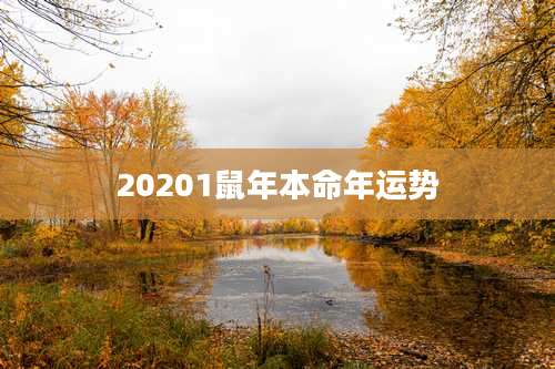 20201鼠年本命年运势