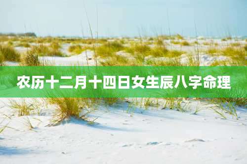 农历十二月十四日女生辰八字命理