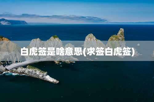 白虎签是啥意思(求签白虎签)