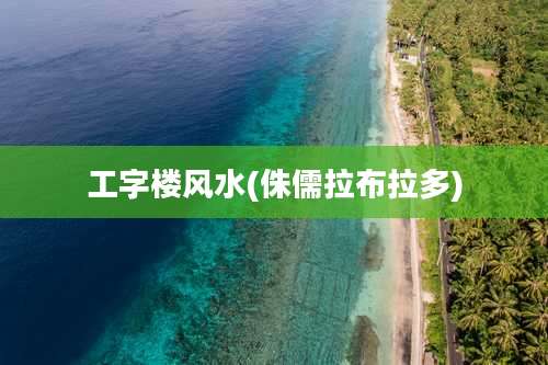 工字楼风水(侏儒拉布拉多)