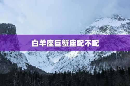 白羊座巨蟹座配不配