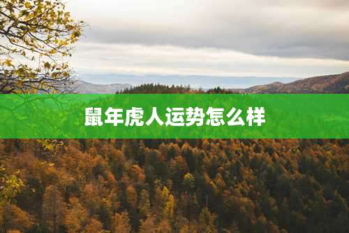 鼠年虎人运势怎么样