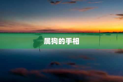 属狗的手相