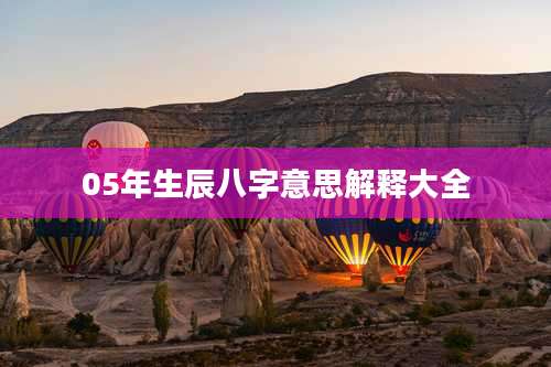 05年生辰八字意思解释大全