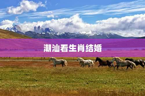 潮汕看生肖结婚