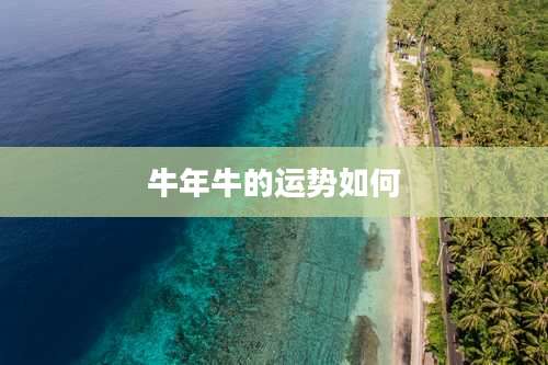 牛年牛的运势如何