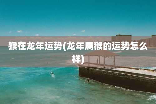 猴在龙年运势(龙年属猴的运势怎么样)