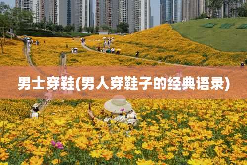 男士穿鞋(男人穿鞋子的经典语录)