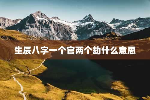 生辰八字一个官两个劫什么意思