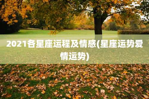 2021各星座运程及情感(星座运势爱情运势)