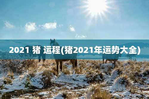 2021 猪 运程(猪2021年运势大全)