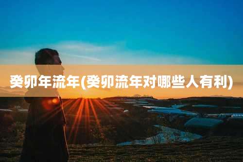 癸卯年流年(癸卯流年对哪些人有利)