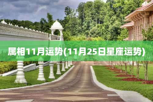 属相11月运势(11月25日星座运势)