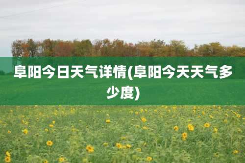 阜阳今日天气详情(阜阳今天天气多少度)