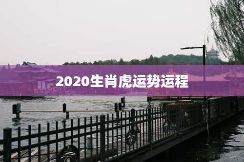 2020生肖虎运势运程
