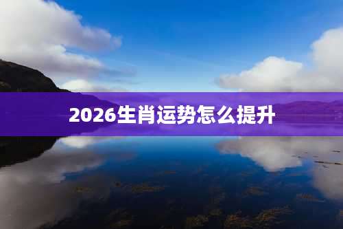 2026生肖运势怎么提升