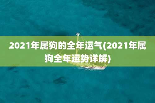 2021年属狗的全年运气(2021年属狗全年运势详解)