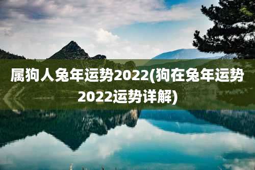 属狗人兔年运势2022(狗在兔年运势2022运势详解)