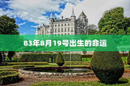 83年8月19号出生的命运