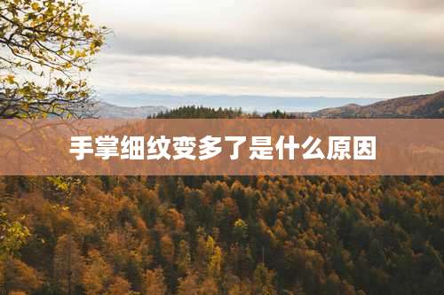 手掌细纹变多了是什么原因