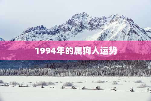1994年的属狗人运势