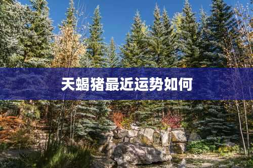 天蝎猪最近运势如何