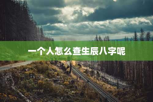 一个人怎么查生辰八字呢