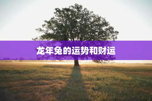 龙年兔的运势和财运