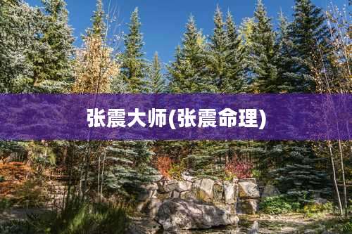 张震大师(张震命理)