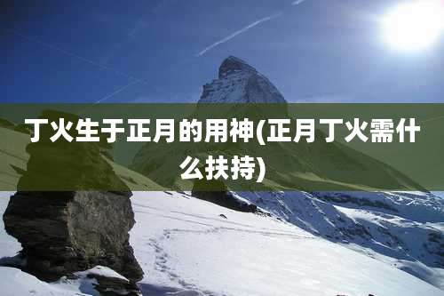 丁火生于正月的用神(正月丁火需什么扶持)