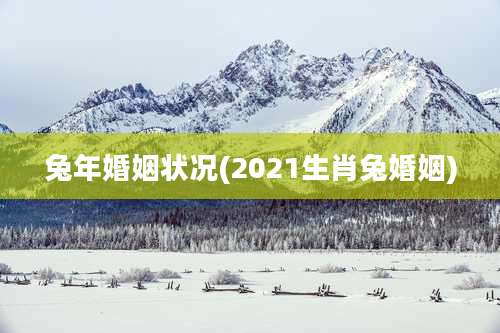 兔年婚姻状况(2021生肖兔婚姻)