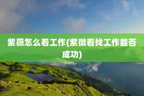 紫薇怎么看工作(紫微看找工作能否成功)