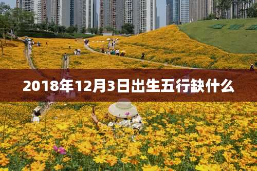 2018年12月3日出生五行缺什么