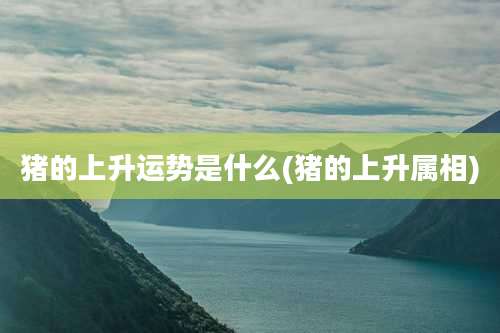 猪的上升运势是什么(猪的上升属相)