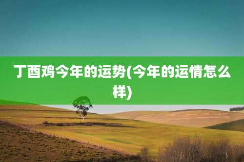 丁酉鸡今年的运势(今年的运情怎么样)