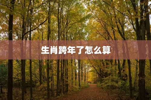 生肖跨年了怎么算