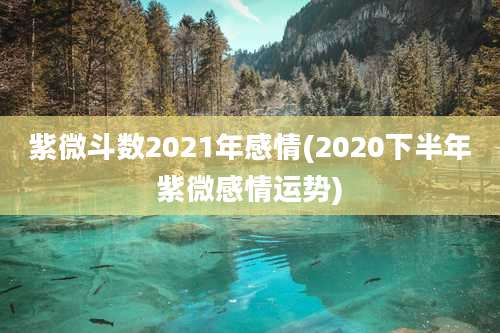 紫微斗数2021年感情(2020下半年紫微感情运势)