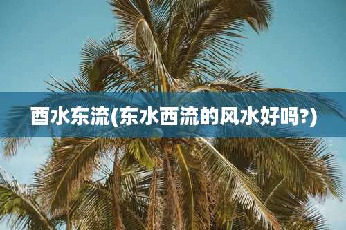 酉水东流(东水西流的风水好吗?)