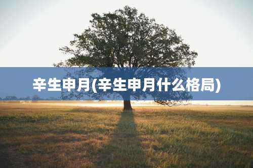 辛生申月(辛生申月什么格局)