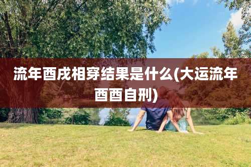 流年酉戌相穿结果是什么(大运流年酉酉自刑)