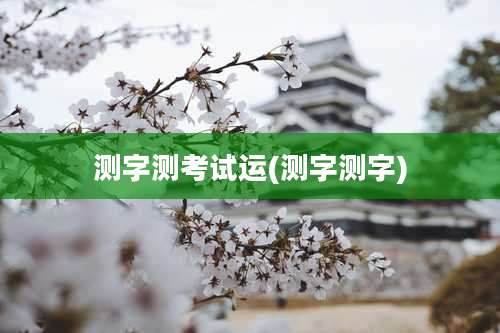 测字测考试运(测字测字)