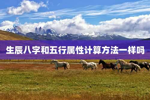 生辰八字和五行属性计算方法一样吗