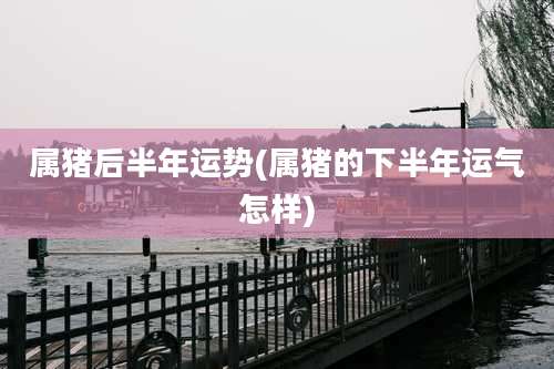 属猪后半年运势(属猪的下半年运气怎样)