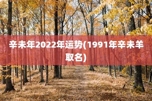辛未年2022年运势(1991年辛未羊取名)