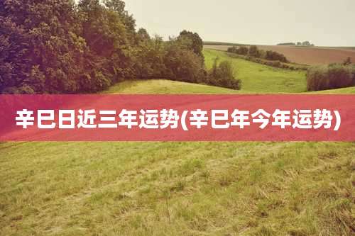 辛巳日近三年运势(辛巳年今年运势)