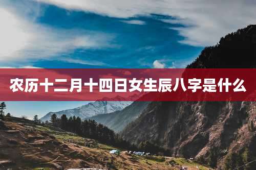 农历十二月十四日女生辰八字是什么