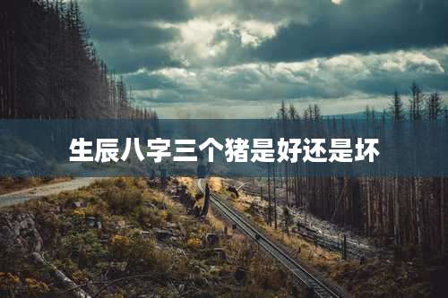 生辰八字三个猪是好还是坏