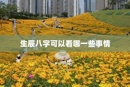 生辰八字可以看哪一些事情